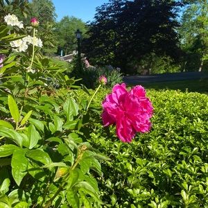 Meet your Posher, Jaime